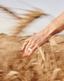 Majorica Anillo Sello Zale Con Perla Ovalada Berenjena| Anillos Grandes